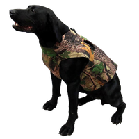Dog Accessories