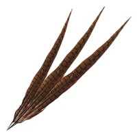 Feathers