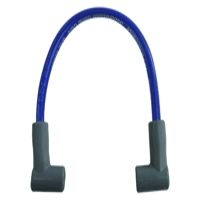 Spark Plugs & Plug Wires
