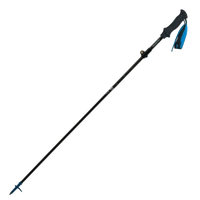 Walking Poles