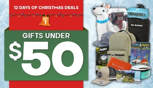 12 Days of Christmas - Day 1