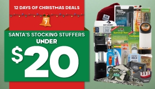 12 Days of Christmas - Day 7