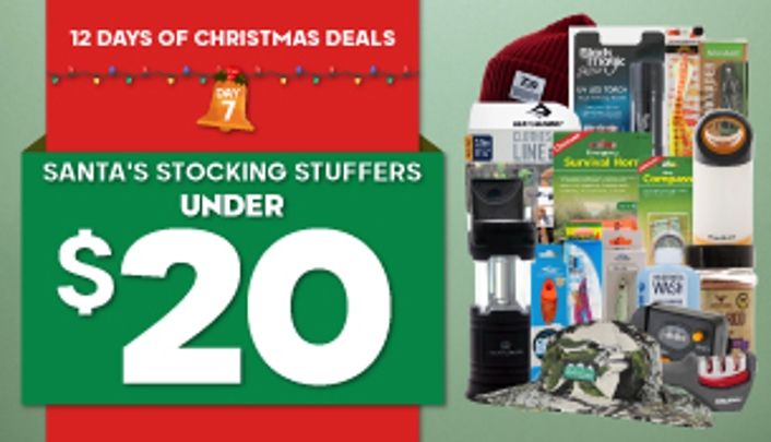 12 Days of Christmas - Day 7