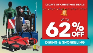 12 Days of Christmas - Day 8