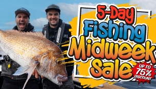 Mid Week Deals