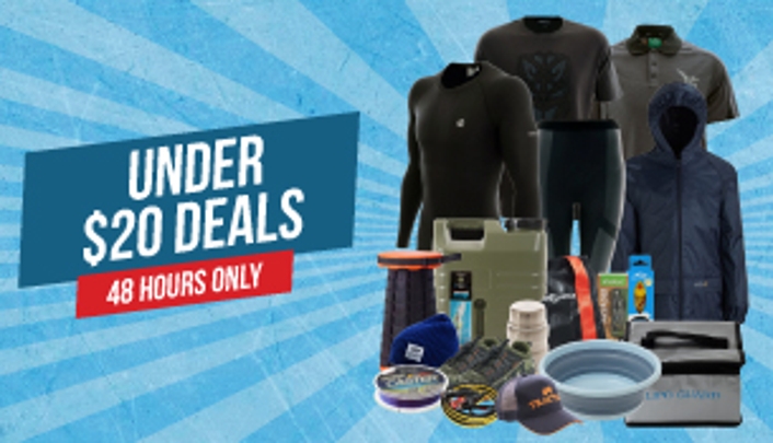 Under $20 Deals