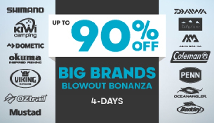 Big Brands Blowout Bonanza