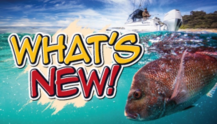 WHAT'S NEW!
