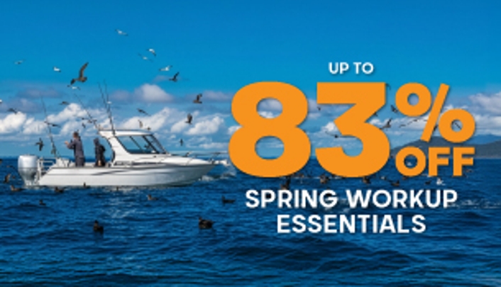 Spring Workup Essentials